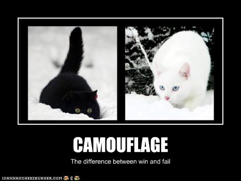 Camouflage FAIL