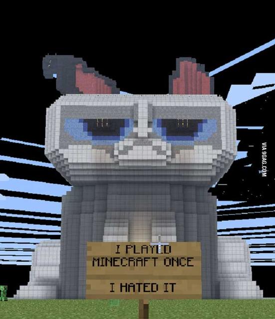 MinecraftGrumpyCat