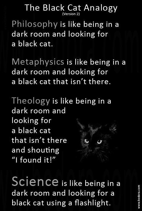 The Black Cat Analogy