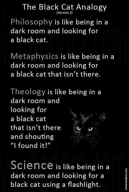The Black Cat Analogy