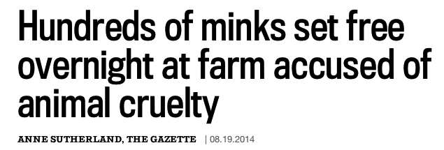 cruel minks
